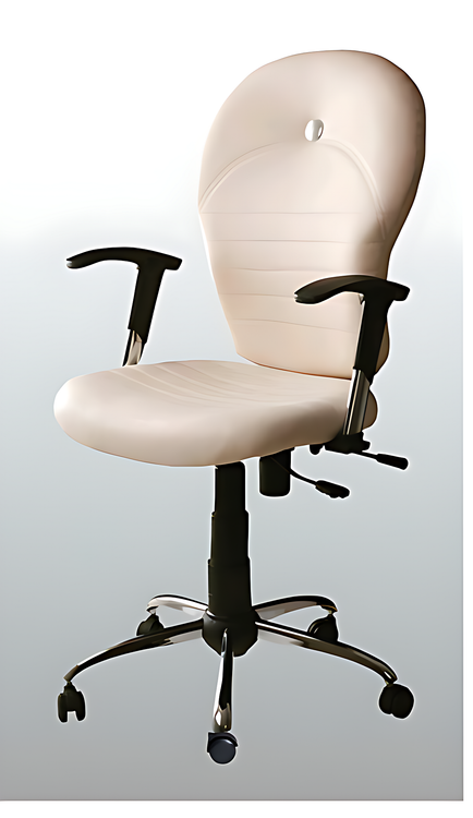 صندلی چرخدار چهاردانگه